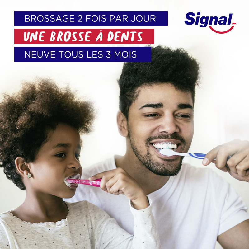 6 Brosses à Dents Signal Système Blancheur Infusé au Charbon Medium