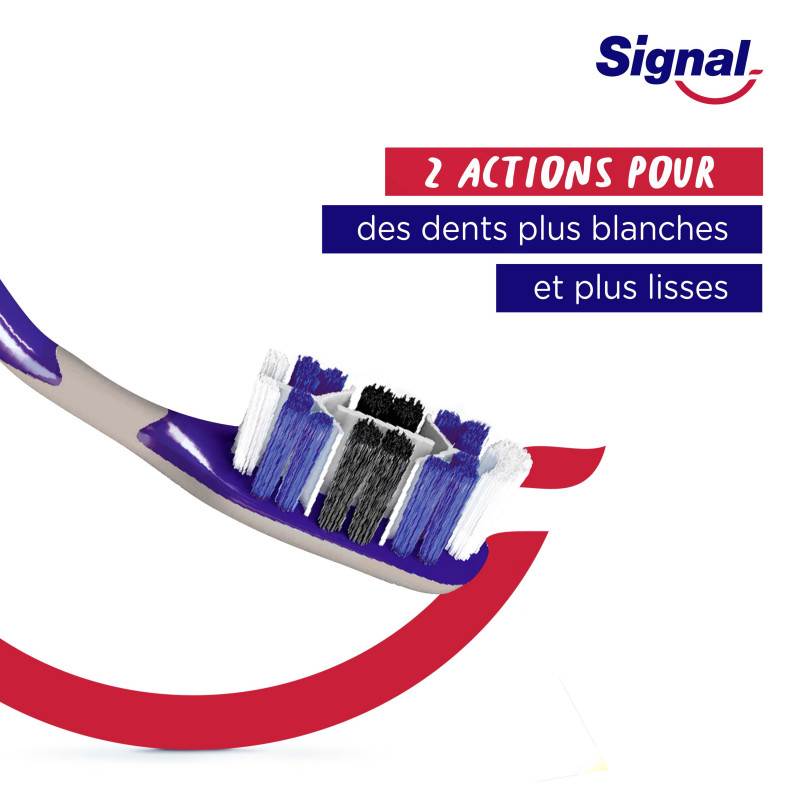 6 Brosses à Dents Signal Système Blancheur Infusé au Charbon Medium